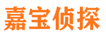 松潘市私家侦探